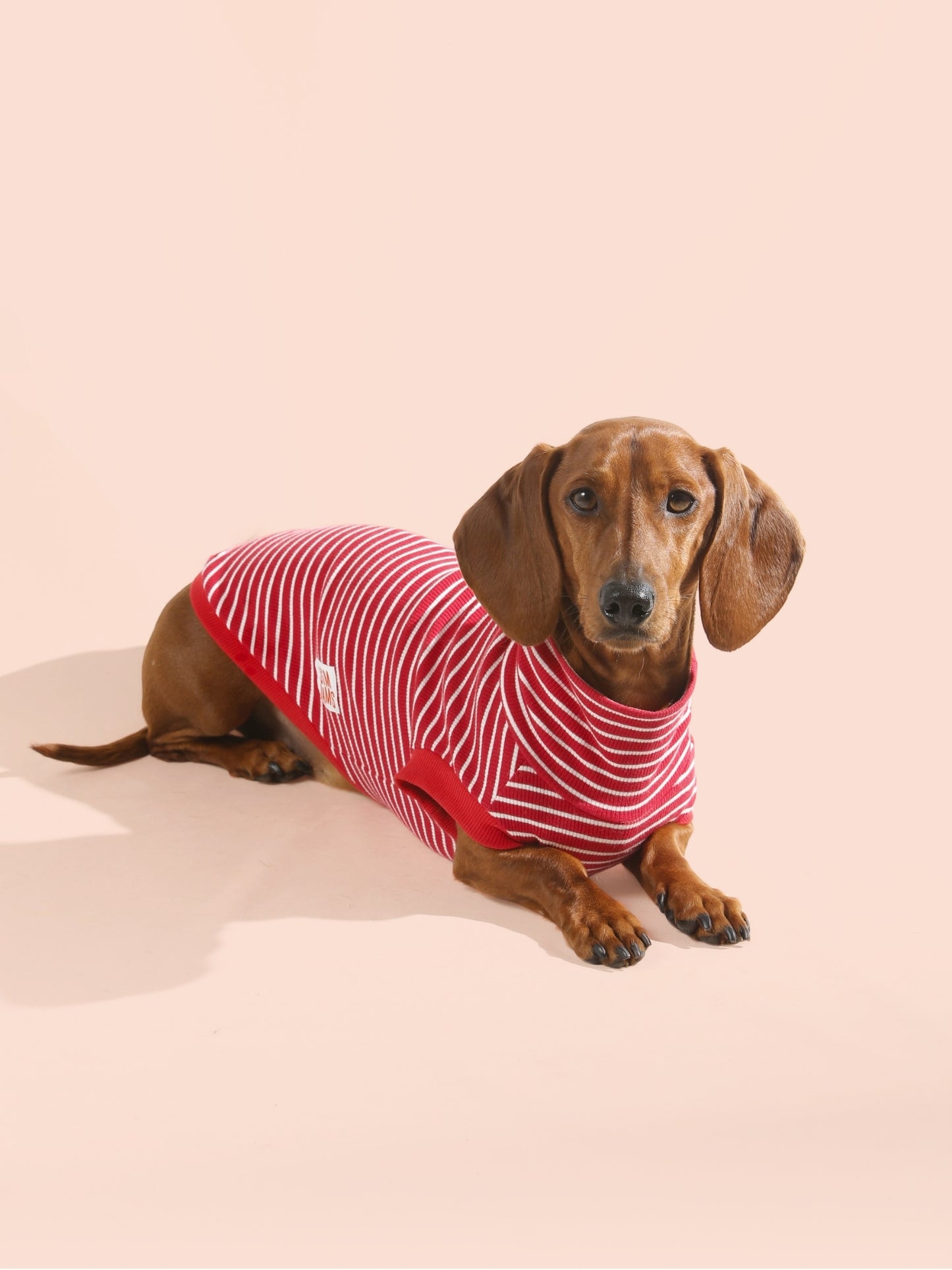 Ribbed Tee
