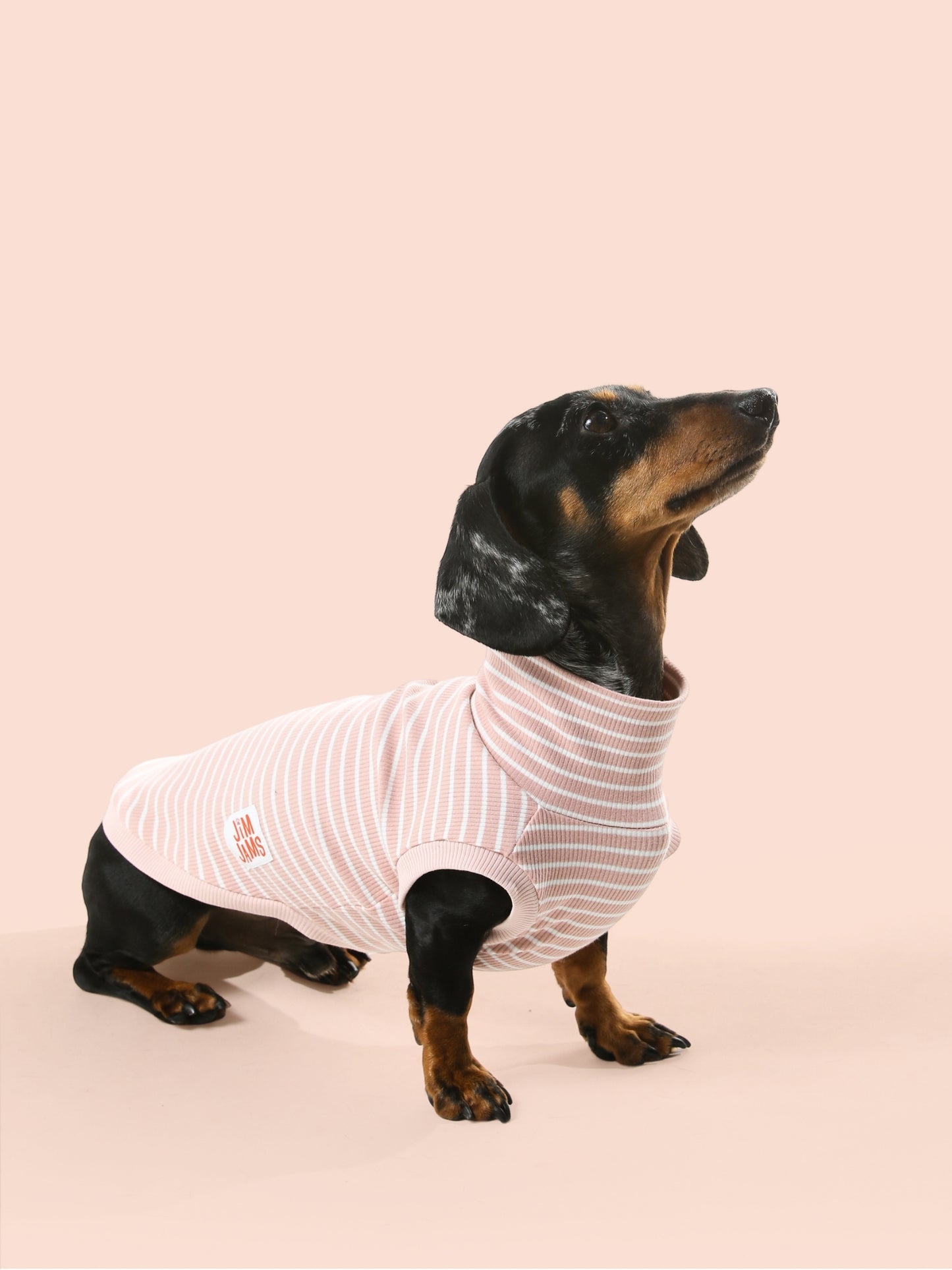 Ribbed Tee