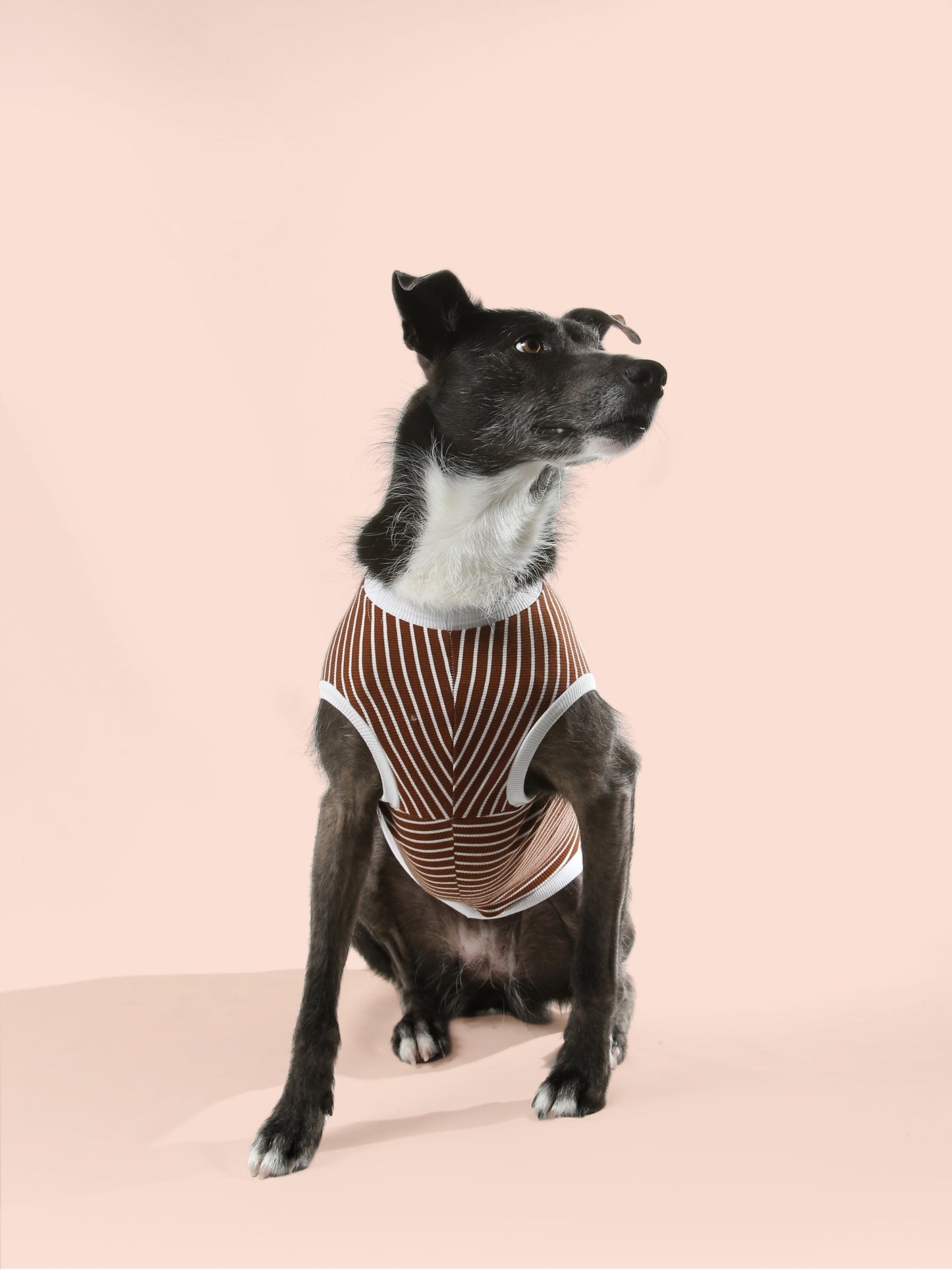 Ribbed Tee