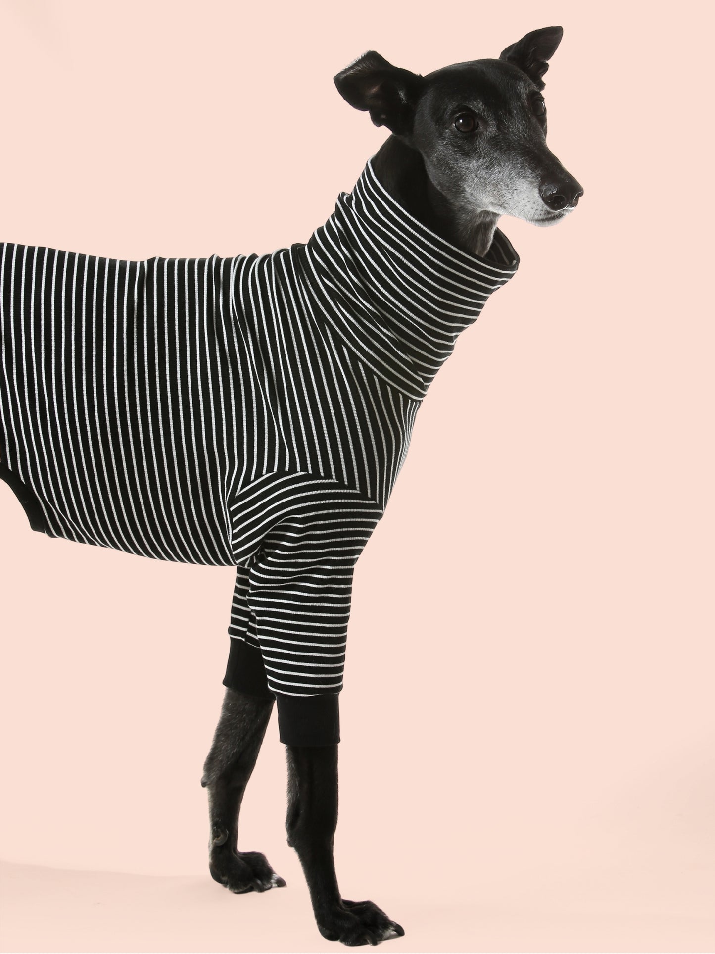 Ribbed Tee